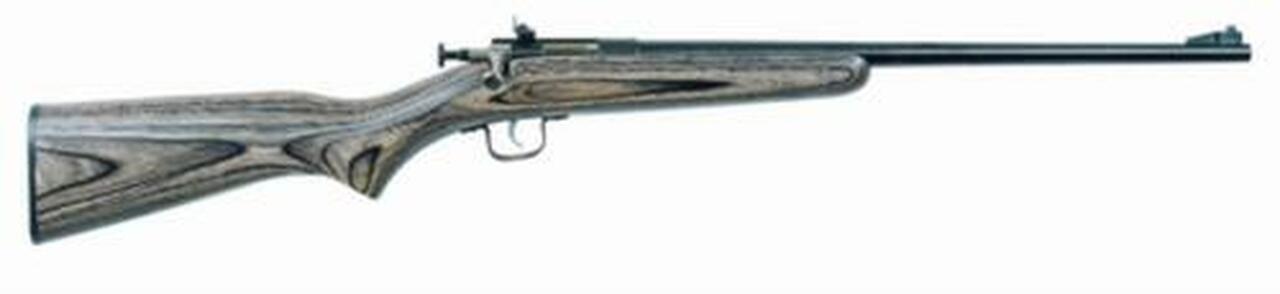 Keystone Crickett 22LR, 16.5″, Laminated Blue