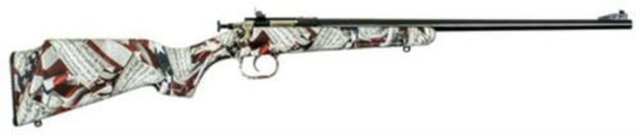 Keystone Crickett 22LR, 16″, Synthetic Stock, Blued