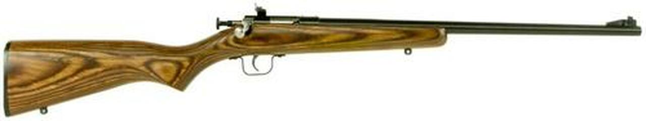 Keystone Crickett 255 Youth Model 22LR, 16.125″, Blued, Laminate Stock, Single Shot