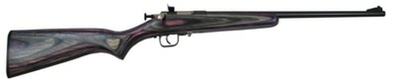 Keystone Crickett Youth, Lock, 22LR, 16.125″ Barrel, Blue Finish, Purple Laminated Stock
