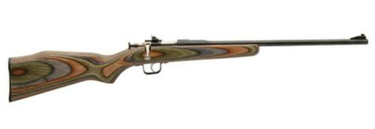 Keystone Davey Crickett Chipmunk 22LR 16″ Barrel Blue Barrel Standard Stock Camouflage Laminate