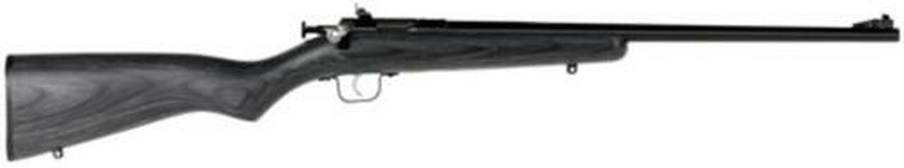 Keystone Sporting Arms, Crickett, Gen 2, Youth, Bolt Action, Single Shot Rifle, 22 LR, 16.125″ Barrel, Blue Finish, Black Laminate Stock, Adjustable Sights