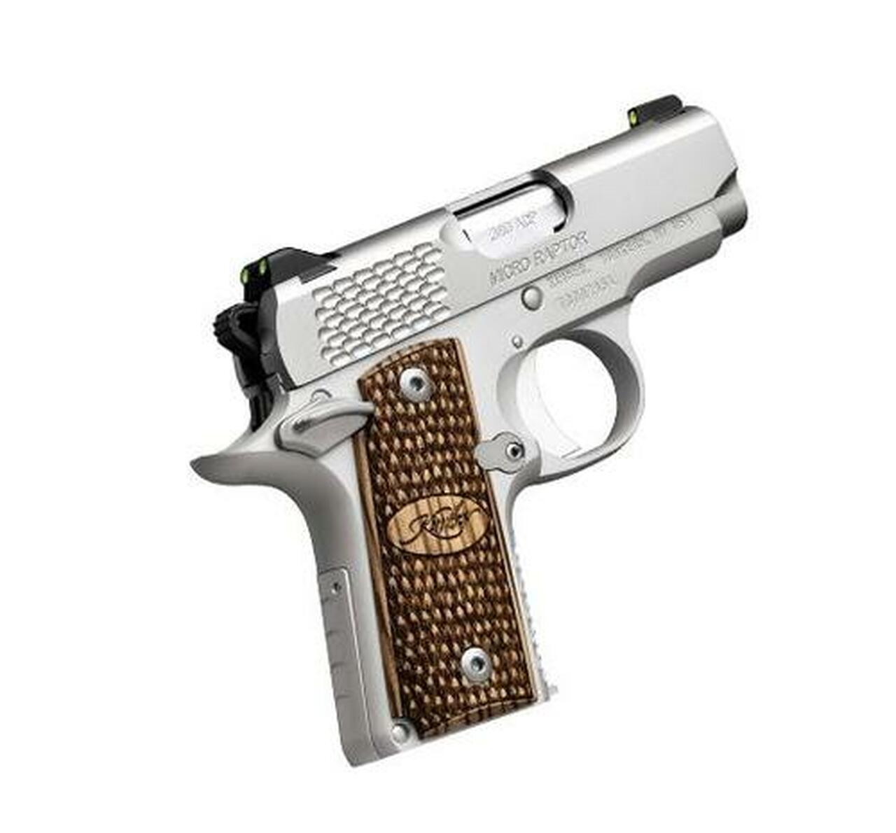 Kimber Micro Raptor Stainless Finish 380 ACP