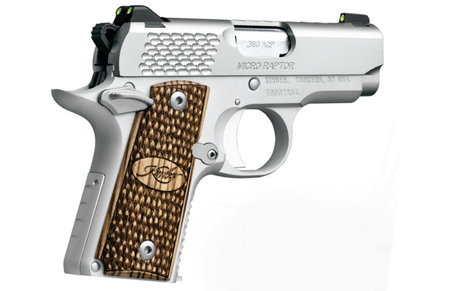 Micro Raptor Stainless 380 Auto Centerfire Pistol