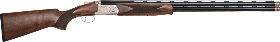 MOSSBERG INTERNATIONAL GOLD RESERVE