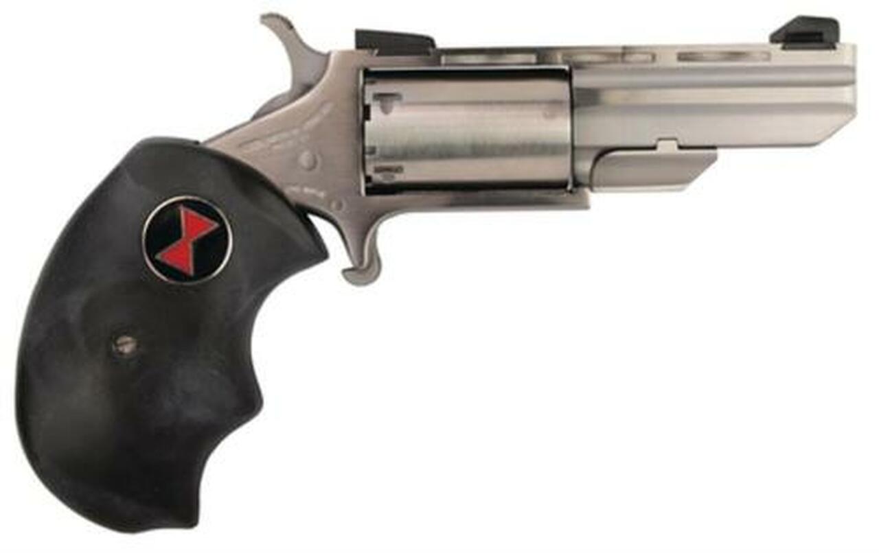 NAA 22 Black Widow 22LR 2″ 5rd Fixed Sight Black Rubber Grip Stainless