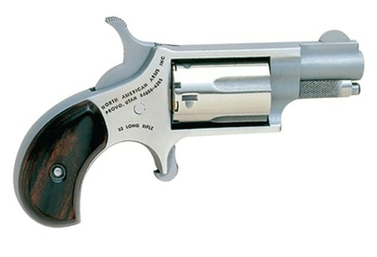 NAA Companion Mini Cap And Ball Revolver Kit .22 Caliber 1.125″ Barrel Stainless Steel 5 Shot