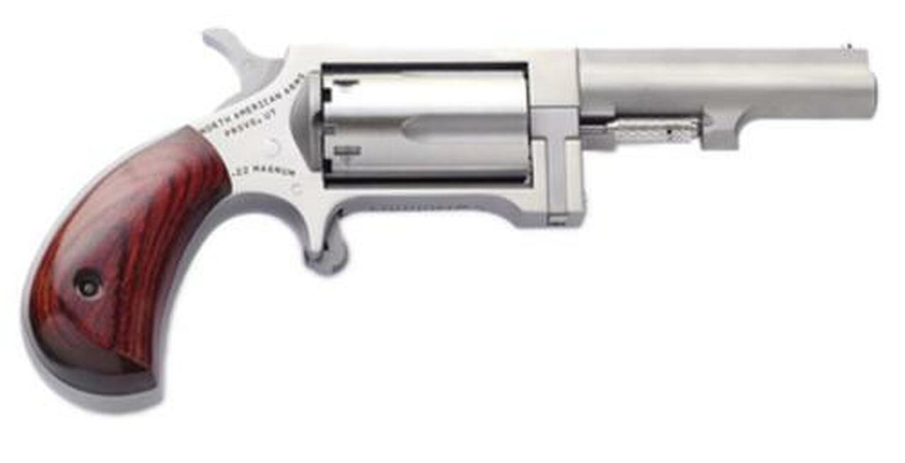 NAA Sidewinder 22 Magnum Single 22 WMR, 2.5″ 5