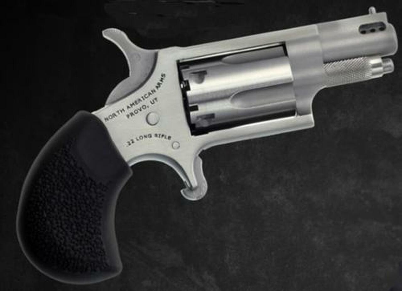 North American Arms Mini 22lr Rev 1-1/8 Ss Ported