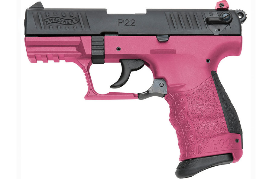 P22 22LR with Wildberry Frame