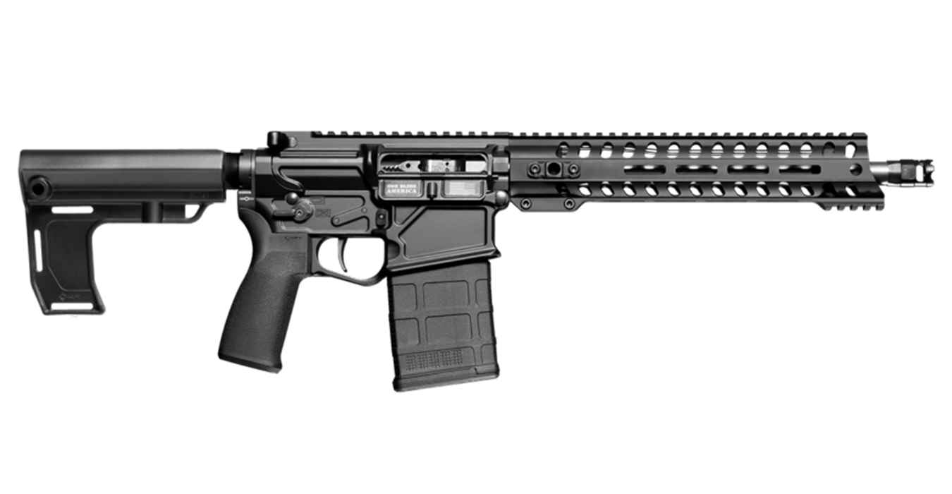 Rogue 308 Win AR-Pistol with Renegade Rail