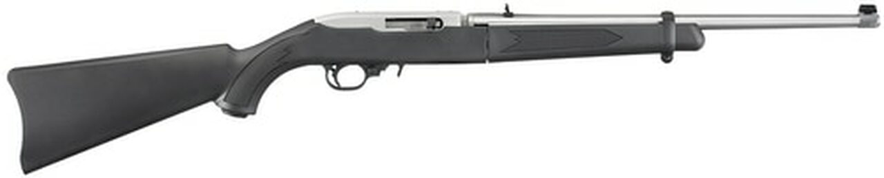 Ruger 10/22 Takedown Rifle, 18.5″ Barrrel SS, Back Pack 10rd Mag