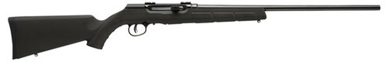 Savage A17 HM2 17 HM2 (Hornady Mach 2), 20″ Barrel, Black Color, Black Polymer Stock, Detachable Rotary Magazine