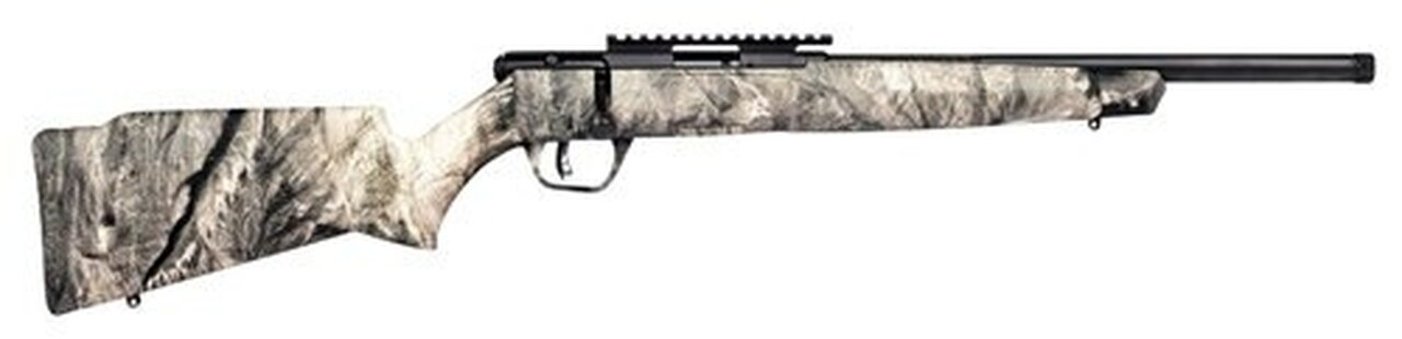 Savage B22 FV-SR .22 LR, 16.5″ Barrel, Synthetic Overwatch Stock, Black Carbon, 10rd
