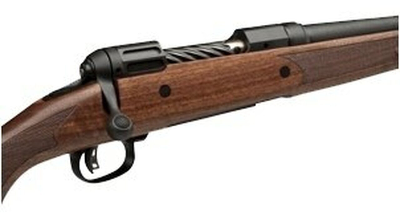 Savage Model 11 Lightweight Hunter, 260, 20″