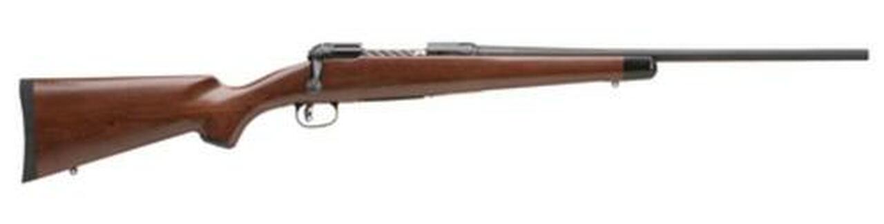 Savage Model 111 Lightweight Hunter, 270, 20″