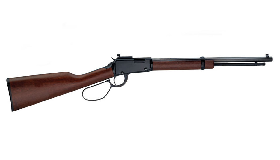 Small Game Carbine 22 Caliber with Large Loop and Skinner Peep Sight