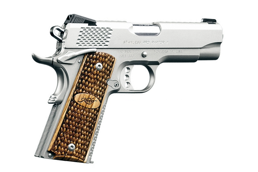 Stainless Pro Raptor II 9mm Pistol with Night Sights