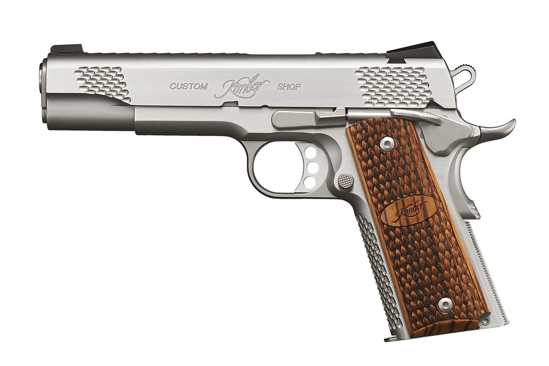Stainless Raptor II 10mm Auto Full-Size Pistol with Night Sights