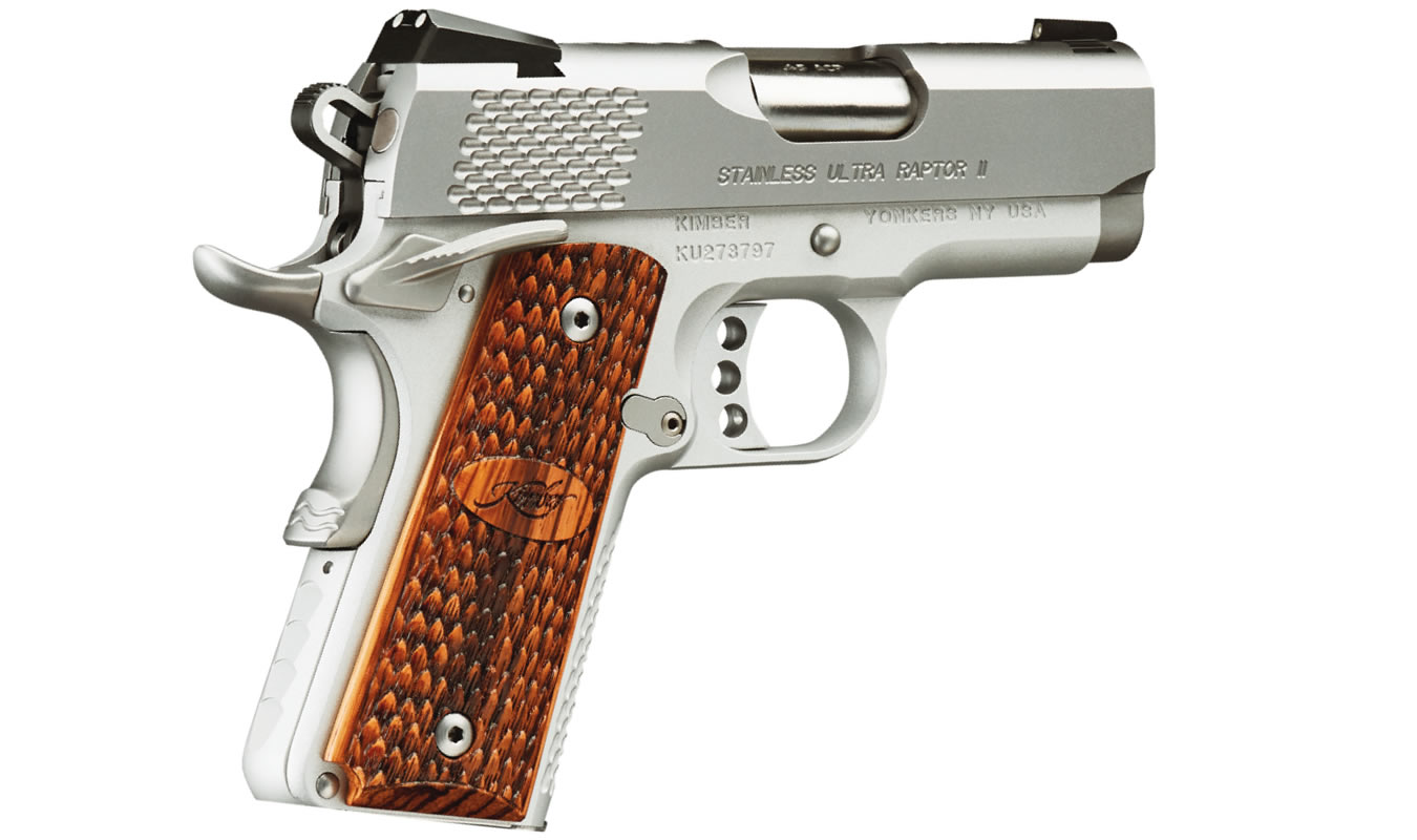 Stainless Ultra Raptor II 45 ACP with Night Sights