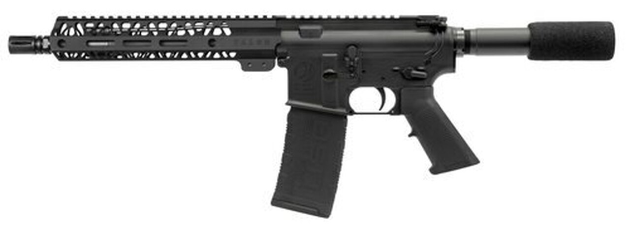 Talon Armament TAR15, .300 Blackout, 10.5″, 30rd, Buffer Tube, Black
