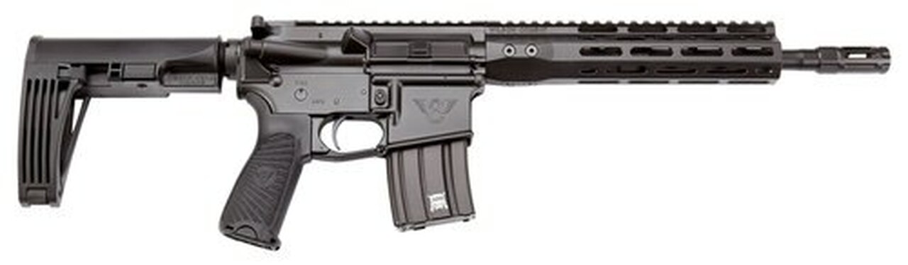 Wilson Combat Protector AR Pistol, .300 Blackout 11.3″, 20rd, Tailhook Brace, Black