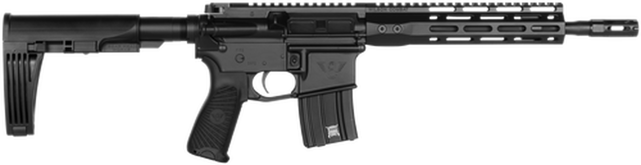 Wilson Combat Protector AR Pistol, .300 HAM’R, 11.3″, 20rd, Tailhook Brace, Black