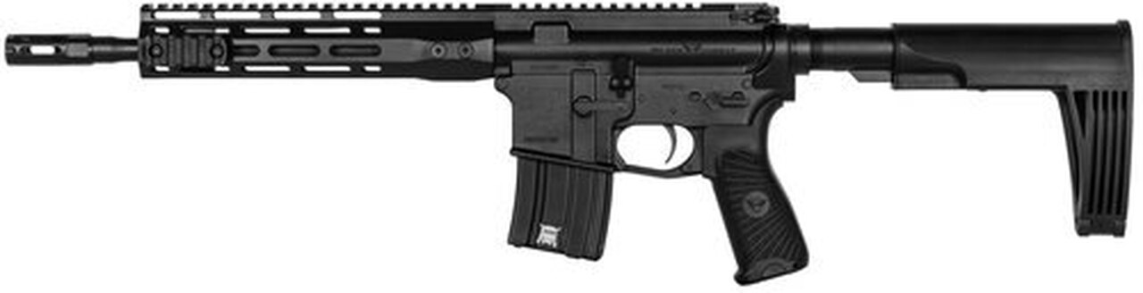 Wilson Combat Protector AR Pistol, .300 HAM’R, 11.3″, 20rd, Tailhook Brace, Black