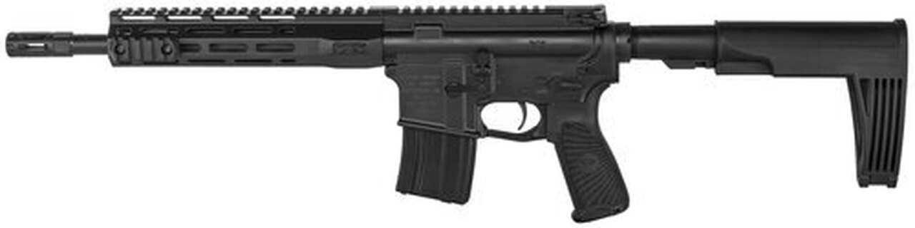 Wilson Combat Protector AR Pistol 5.56mm 11.3″ Barrel, Tailhook Brace Polymer Black, 20rd