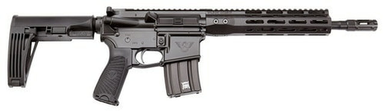 Wilson Combat Protector Carbine 300 HAM’R, 16.25″, Black 6 Position Rogers Super-Stoc, Black Aluminum Receiver, 30rd