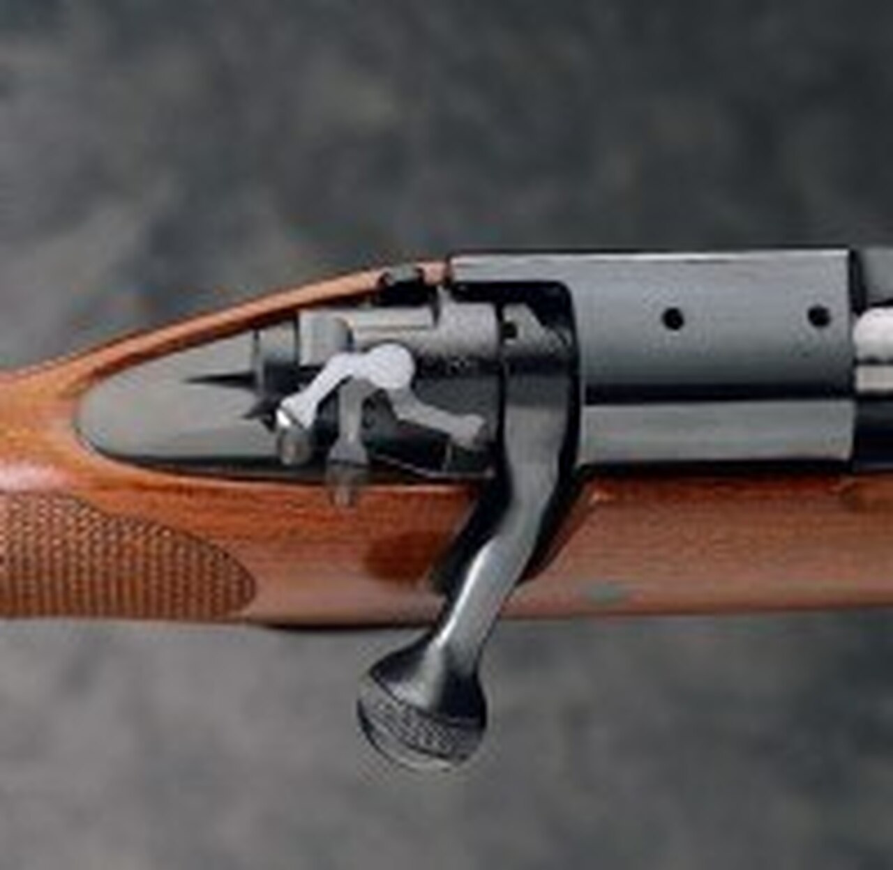 Winchester Model 70 Featherweight, 243 Win.