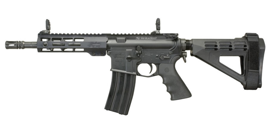 WW-15 300 Blackout AR Pistol with Brace