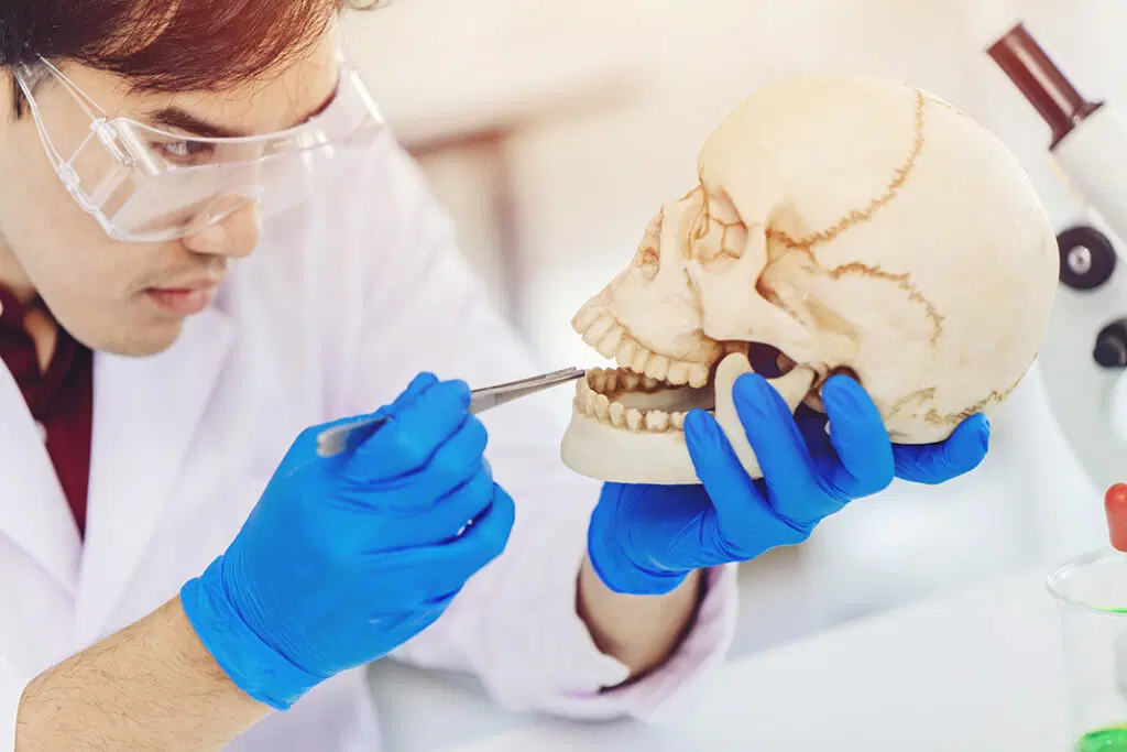 Unique Features of the Mouth that Help Forensic Investigators - Today's RDH